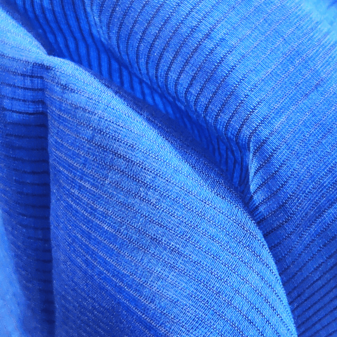 Rehwa Vaagmi Silk Cotton Handloom Saree