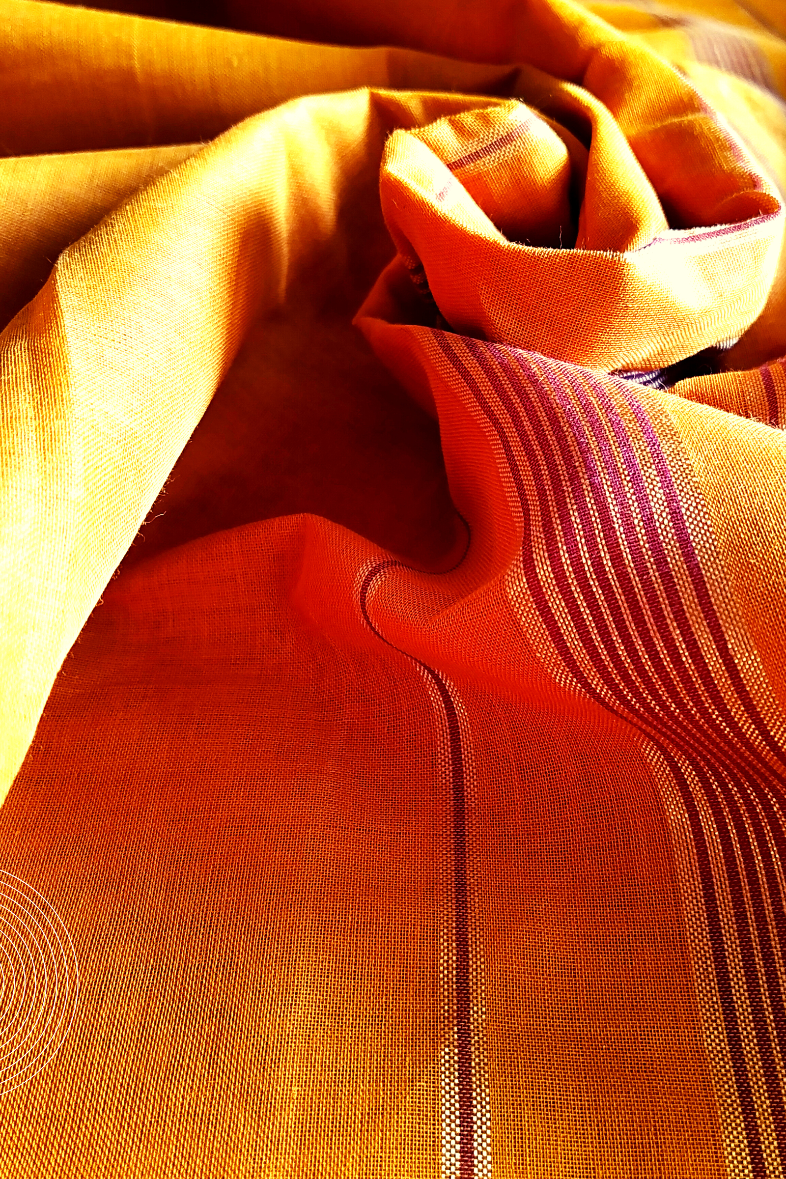 AADRIKA South Cotton Handloom Saree